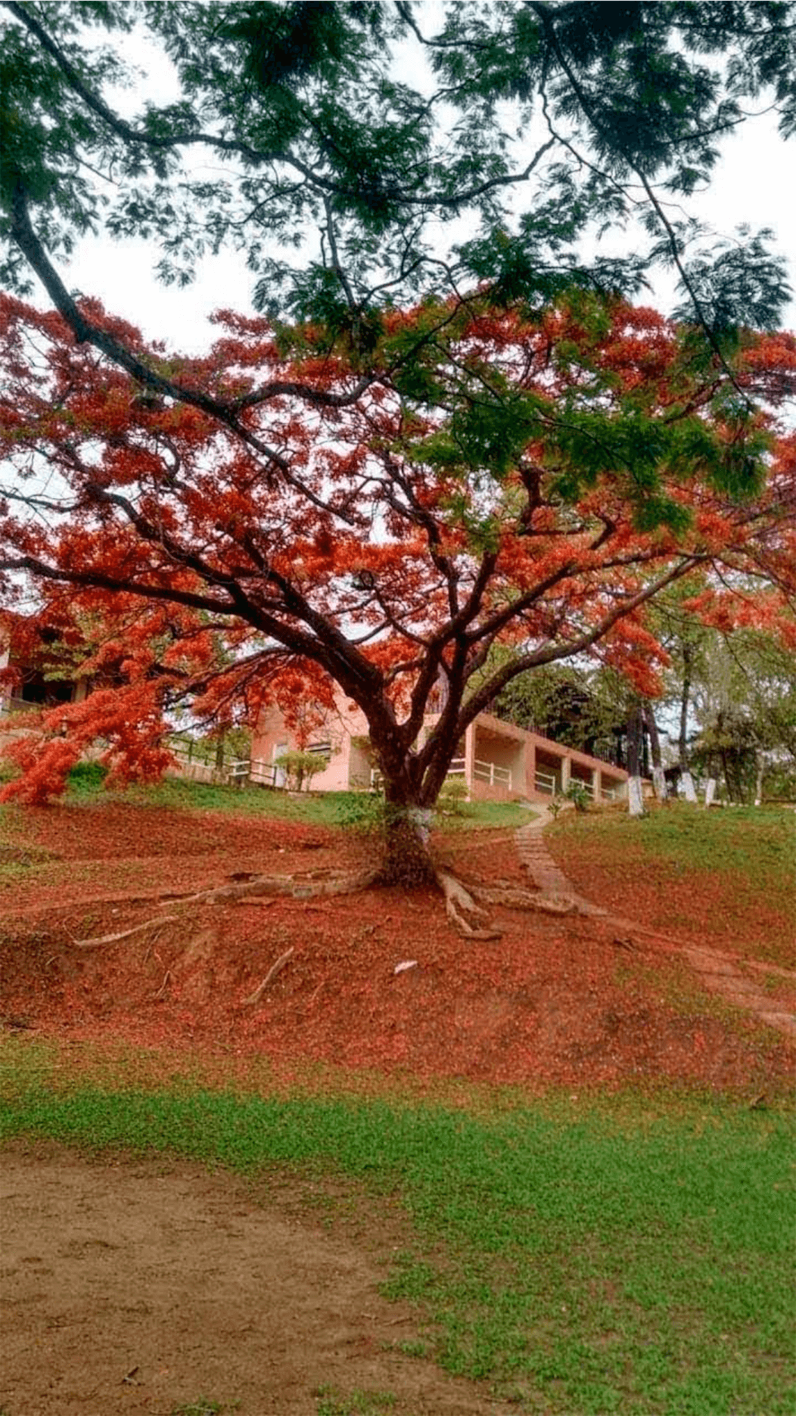 Chácara Del Rey