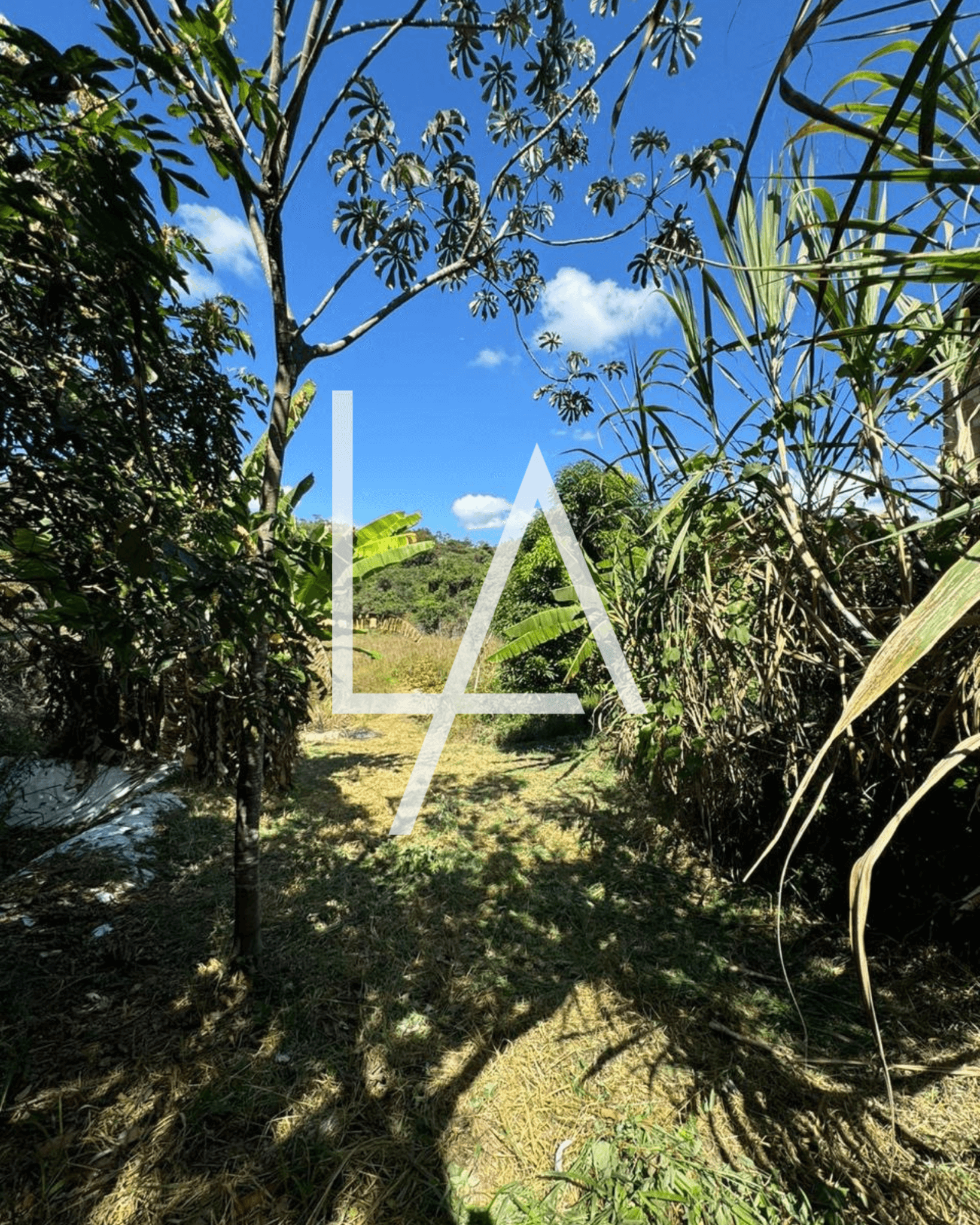 4 4