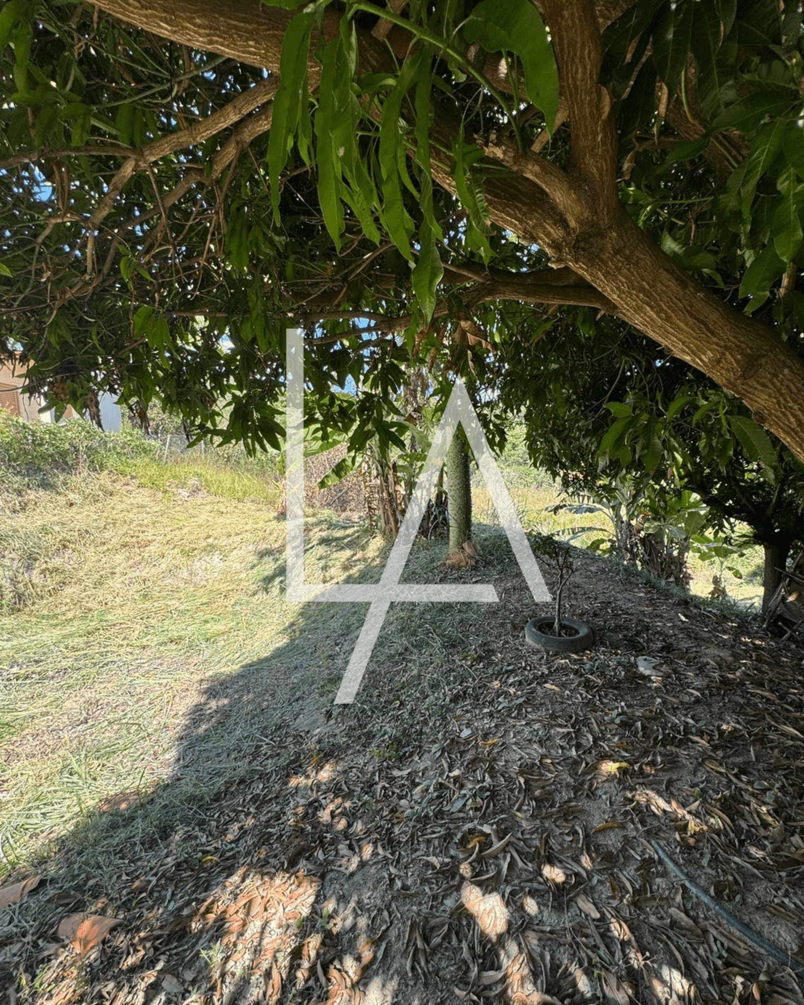 7 7